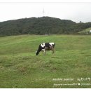 초우목장 이미지