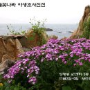 천원나라 이미지