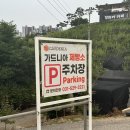 가드니아고양