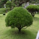 대성농원 이미지