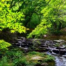 선운사의추억 이미지