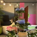 트란시사부작뜰