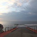 어물농장 이미지