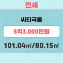 (주)극동이씨티