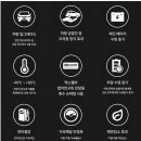 제일밋숀 이미지