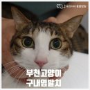 중동우리아이동물병원 이미지