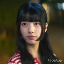원주미용실 레이어드컷 잘하는 곳 추천 / 피어헤어 원주단계점 규리 디자이너 레이어드컷 후기