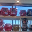 더펫샵(압량점) 이미지