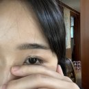 호대마트 | 가을 어딧어?