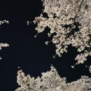 율하광장 반계공원 이미지