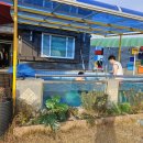 화원스테이지 이미지