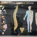 정용래한의원 이미지