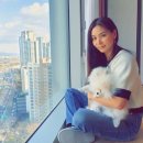 고소영공인중개사사무소 이미지