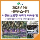 2023.방방곡곡문화공감_민간예술단체우수공연프로그램_종합서커스공연<아슬>(2회차) | 9월 소식지