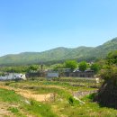 삼귀(중앙) 이미지