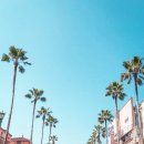 시장1구 이미지