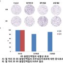 ㈜국제신소재 이미지