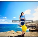 영팔농장 이미지