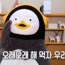 건강메이드 네이버블로그