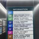 프리미엄 와와 | 다율동속눈썹펌 맛집 아이글로우 추천