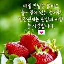 대성산업중기 이미지