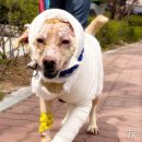 솔 동물의료센터 이미지