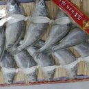 법송수산