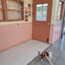 피디유피 | 오산대역,세마역 애견동반카페 cafe pdup 다녀왔어요