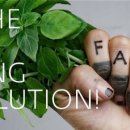 팜 마트 이미지