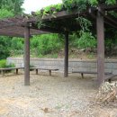 팔매숲공원 이미지