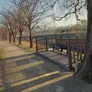 지천생태길 이미지