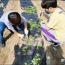 서선초교 이미지