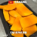유가네 | 다낭 여행 필수 코스 유가네 과일가게 후기｜과일 좋아하면 무조건 가세요