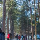 강촌커플가족세이셀펜션 이미지