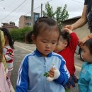 도척보건지소 이미지