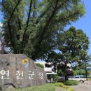 연천군치매안심센터 이미지