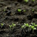 밤나무가든 이미지