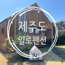 일로-3 | 제주 감성 숙소 일로펜션 후기 - 사우나 자쿠지 한라산 뷰까지 있는 완벽한 숙소!