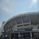 등  석 | 야구 직관일기 : 롯데 자이언츠 시범경기 에비뉴엘석(그라운드석) 1열 후기