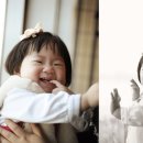 호텔나무 이미지