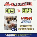 [함안보호소] 🚙 1.24(수) 대전➞태안 "가을"이 임보처 이동봉사자님 찾습니다 이미지