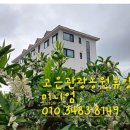 자올하우스 이미지