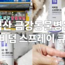 금강동물병원 | [공유] [내돈내산] 강아지 발사탕에 특효인 터비덤 스프레이큐어 익산 금강동물병원 구매 후기