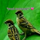 화천생활체육공원 이미지