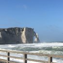 르아브르 이미지