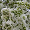 상주초교 이미지