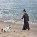 순포차 | 홍단이랑 강릉여행 | 애견동반 | 카페덕덕 | 코스테펜션 | 강릉중앙시장