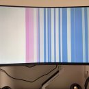 디아블 | LG 34인치 WQHD 울트라와이드모니터(34G600A) 내돈내산 후기