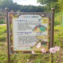 대자연유치원 | 대자연유치원 미리 입학하기 (F. 나름 깐깐 엄마ㅎㅎ)