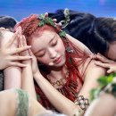 숲의 아이 이미지